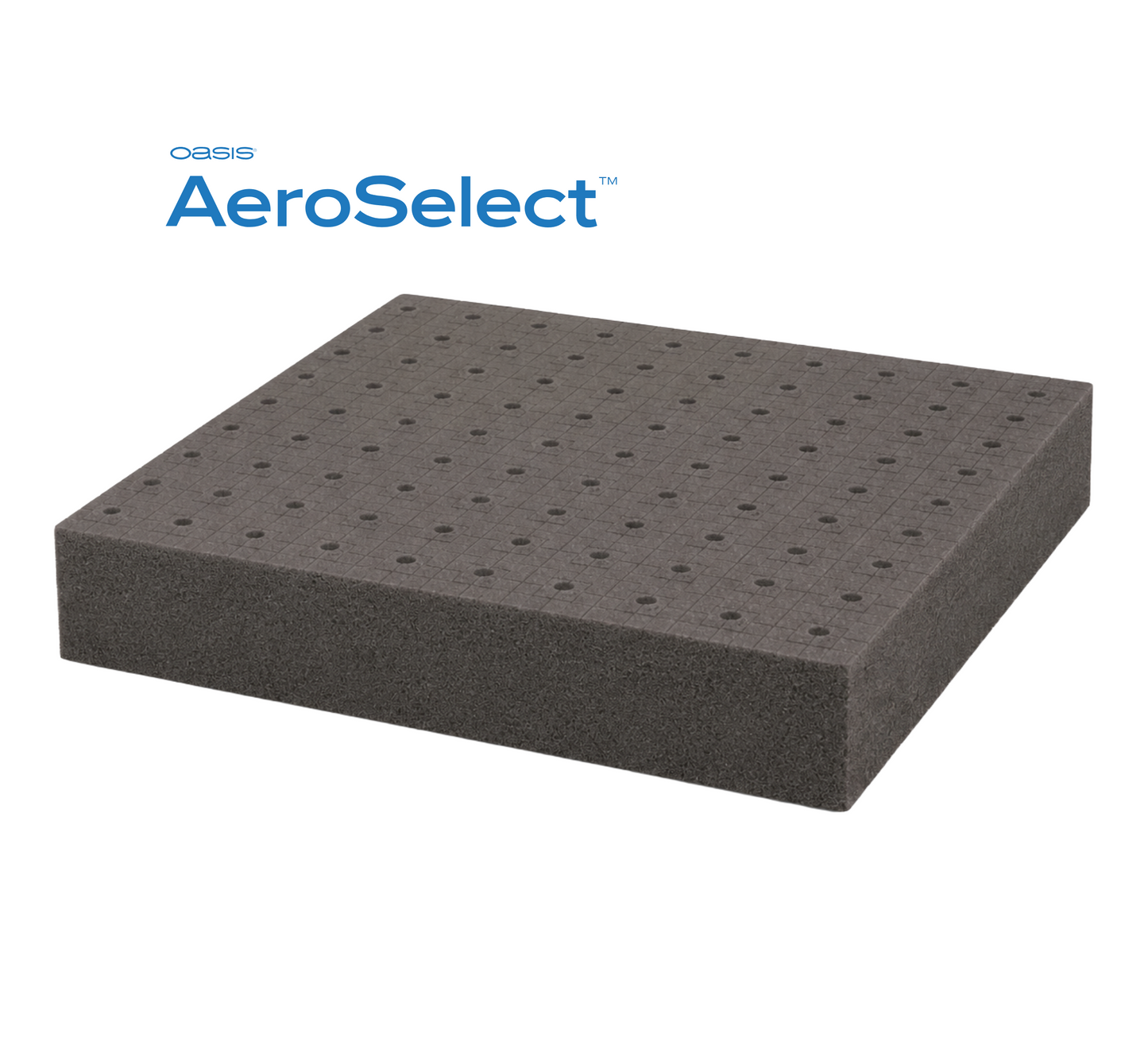 Placas AeroSelect™ 225 Horticubos - Horticubos 2.1x2x5 cm Cavidad cónica y perforación 16 placas por caja - SHT402-5-G2