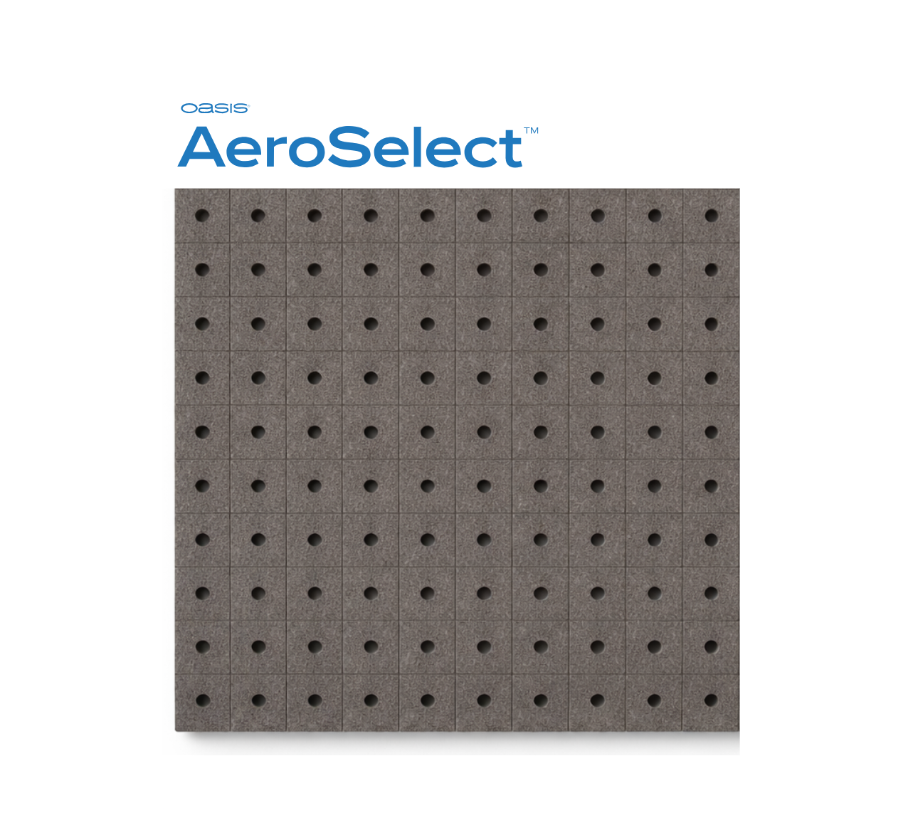 Placas AeroSelect™ 100 Horticubos - Horticubos 3.2x3x3.6 cm Cavidad cónica y perforación 20 placas por caja - SHT407-G2