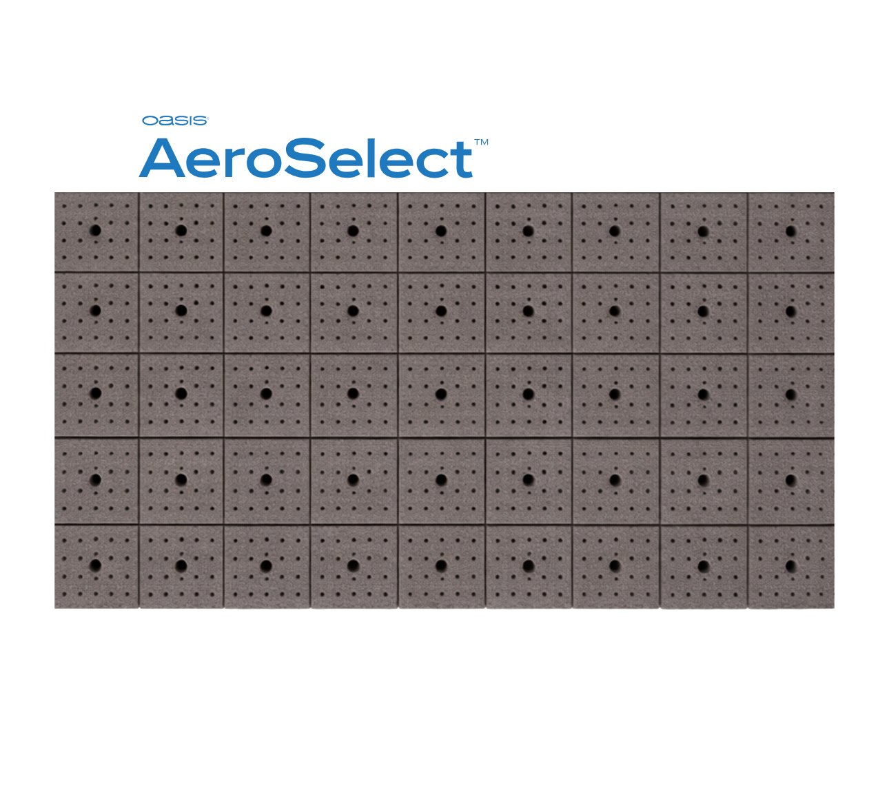 Placas AeroSelect™ 45 Horticubos - Horticubos 4x4x5 cm Cavidad cónica, perforación y microperforado 20 placas por caja - SHT415-G2