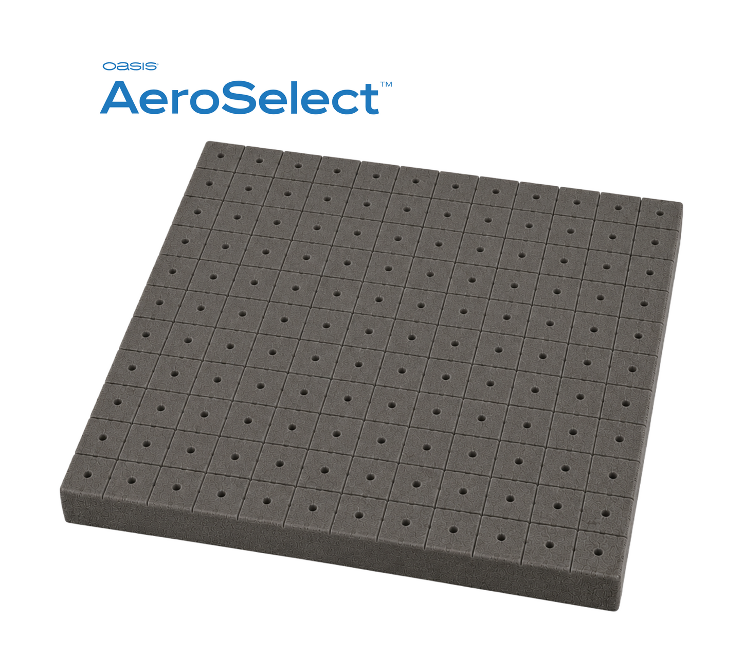 Placas AeroSelect™ 156 Horticubos - Horticubos 2.5x2.5x3.6 cm Cavidad cónica y perforación 20 placas por caja - SHT403-G2