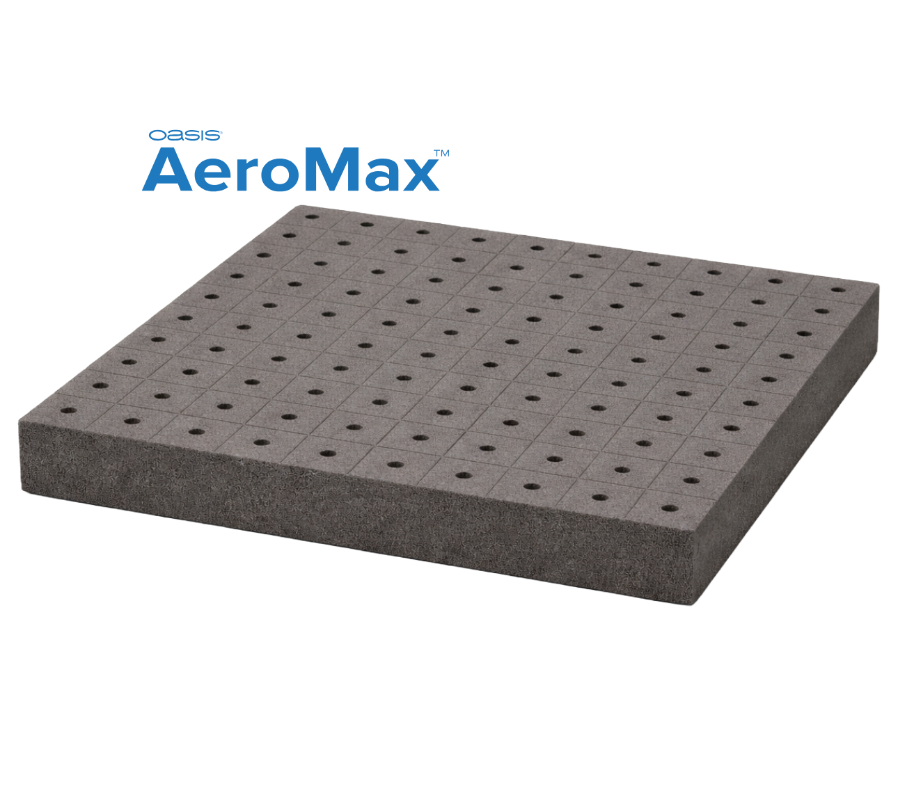 Placas AeroMax™ 100 Horticubos - Horticubos 3.25x3.05x3.6 cm Cavidad cónica y perforación 20 placas por caja - SHT607-G2